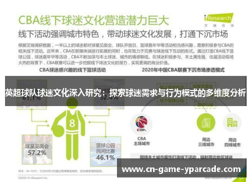 英超球队球迷文化深入研究：探索球迷需求与行为模式的多维度分析