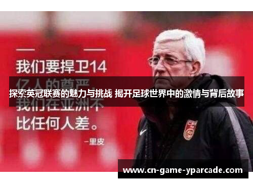 探索英冠联赛的魅力与挑战 揭开足球世界中的激情与背后故事
