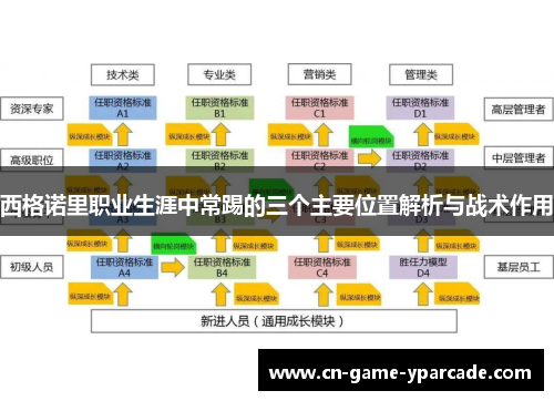 西格诺里职业生涯中常踢的三个主要位置解析与战术作用 西格诺里职业生涯中常踢的三个主要位置解析与战术作用