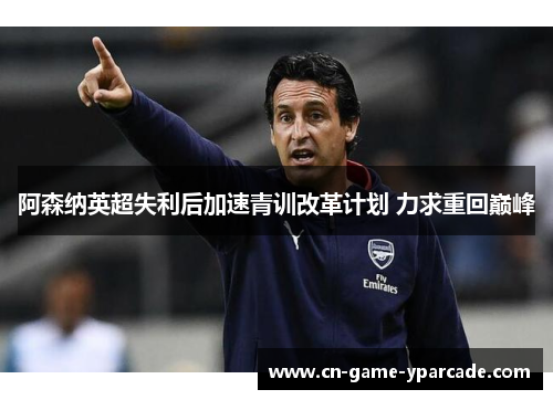 阿森纳英超失利后加速青训改革计划 力求重回巅峰 阿森纳英超失利后加速青训改革计划 力求重回巅峰