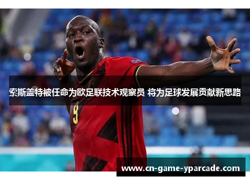 索斯盖特被任命为欧足联技术观察员 将为足球发展贡献新思路