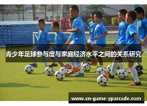 青少年足球参与度与家庭经济水平之间的关系研究