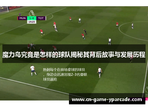 魔力鸟究竟是怎样的球队揭秘其背后故事与发展历程